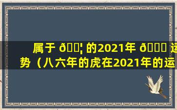 属于 🐦 的2021年 🍀 运势（八六年的虎在2021年的运势）